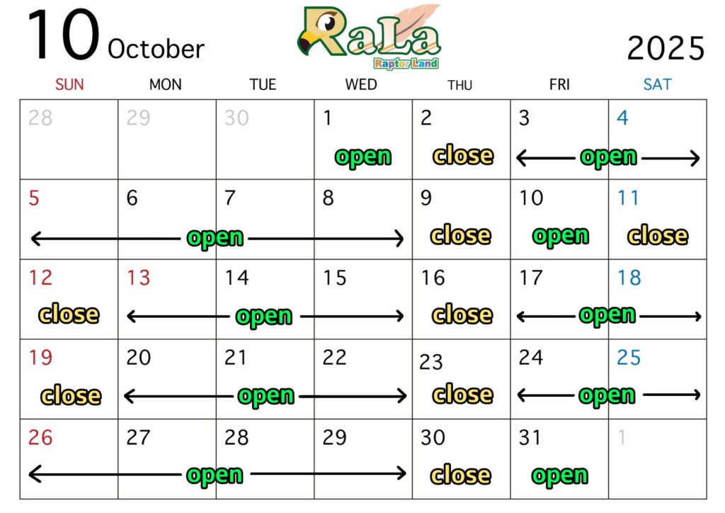🦉10月営業スケジュール🎃