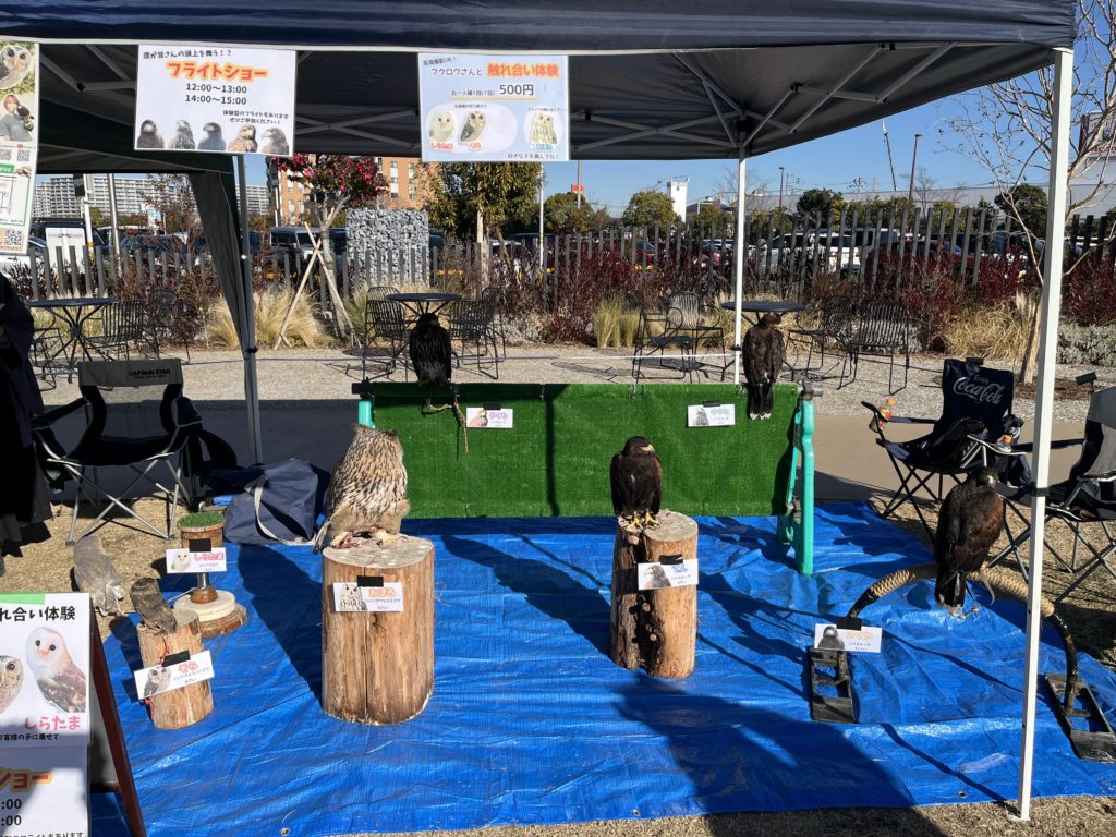 イベント実績🦅🦉